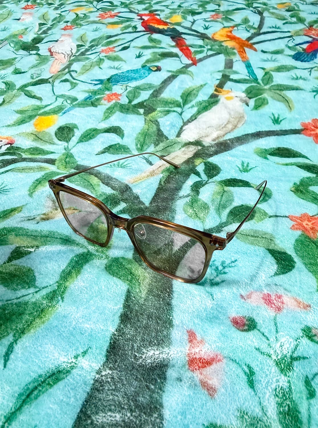 CARIN ROIST S_C5 상품이미지5