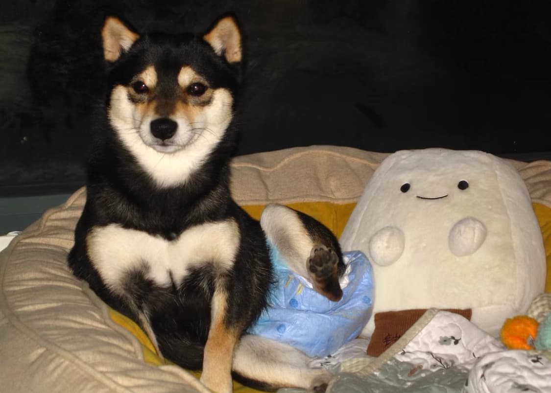 캐논 파워샷 SD550 (캐논 익서스 750 IXUS 750)빈티지 디카 상품이미지10