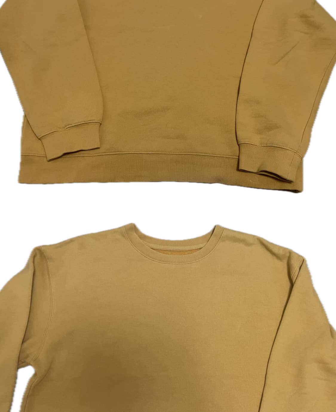 지오다노 머스타드 맨투맨 상품이미지2