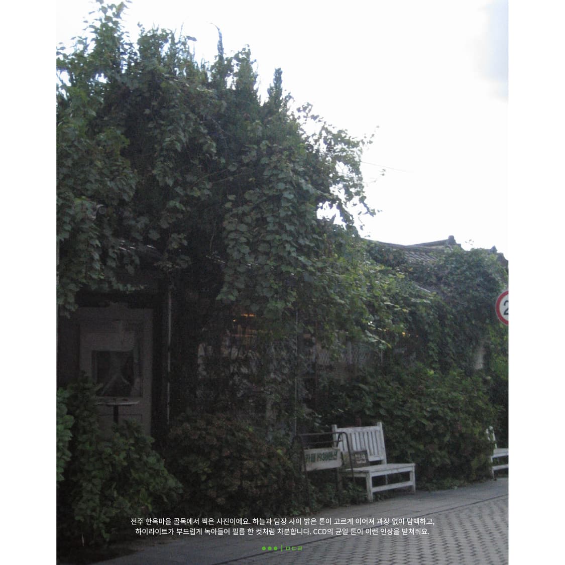 Canon IXY DIGITAL 50 상품이미지6