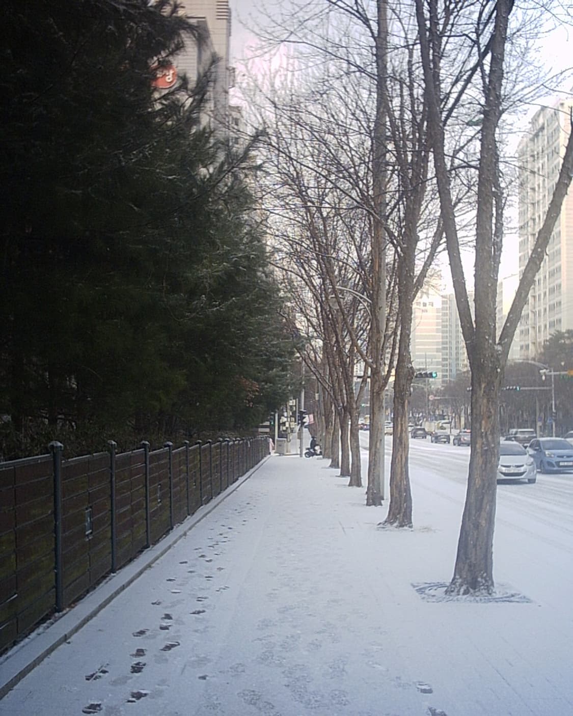 Hitachi imega HDC-1 빈티지 디카 상품이미지10