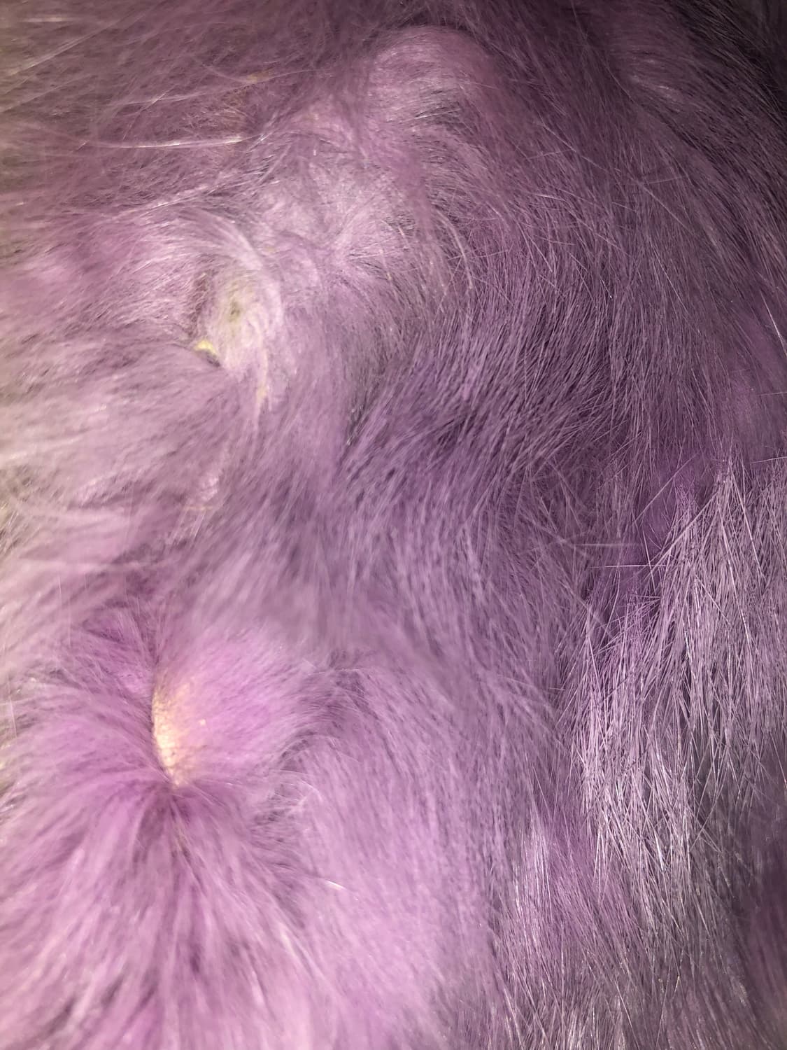 빈티지 구제 y2k 키치 갸루 보라 리얼 래빗퍼 자켓 상품이미지6