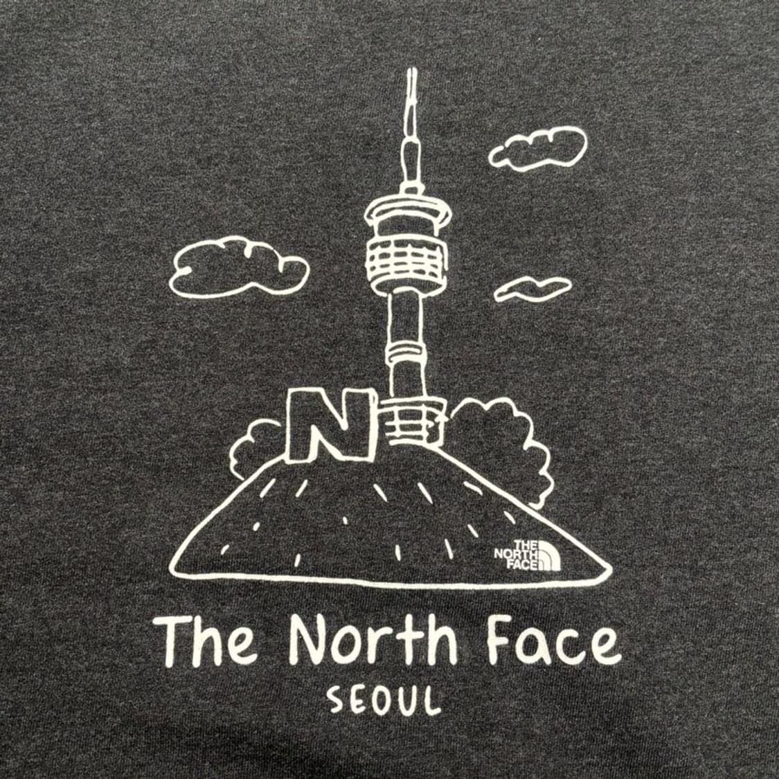 THE NORTH FACE 맨투맨 차콜 L 상품이미지5