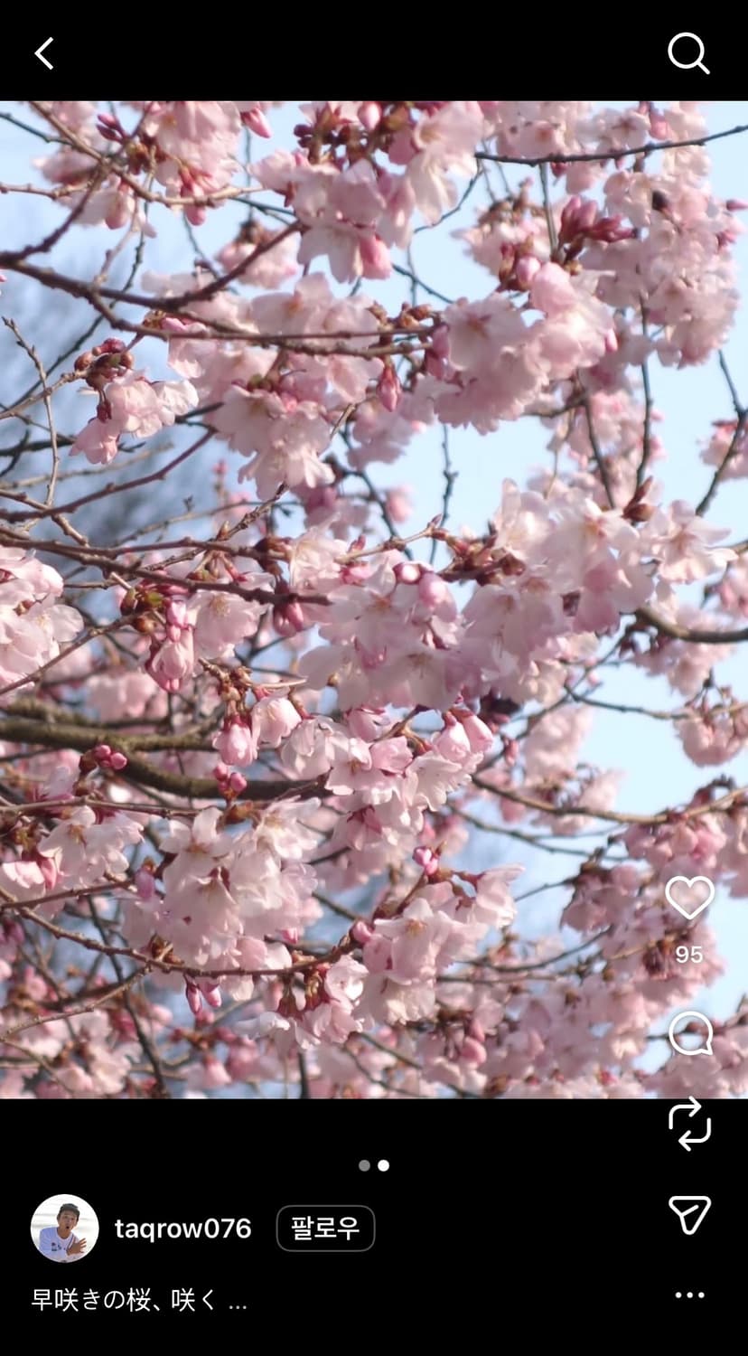 소니 디카 RX100M2 상태좋음/한국어지원/작례O 상품이미지6