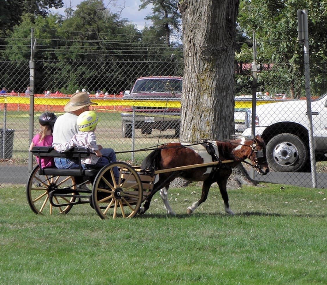 ✨📸 올림푸스 SP-590UZ 초강력 줌 디카 등장!! 📸✨ 상품이미지8