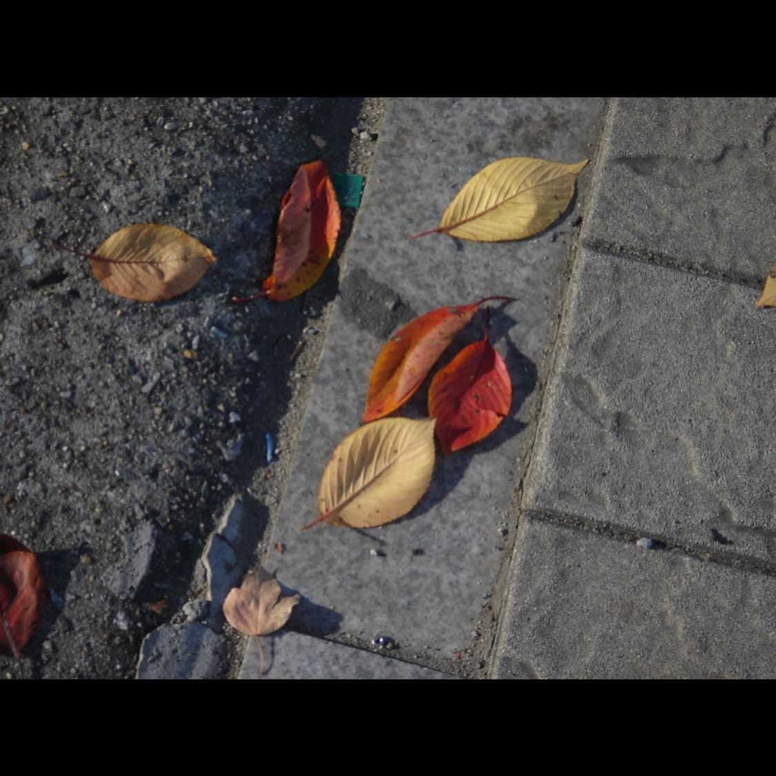 소니 DSC-T5  로즈 골드 메탈릭 빈티지 디카 디지털카메라 상품이미지3