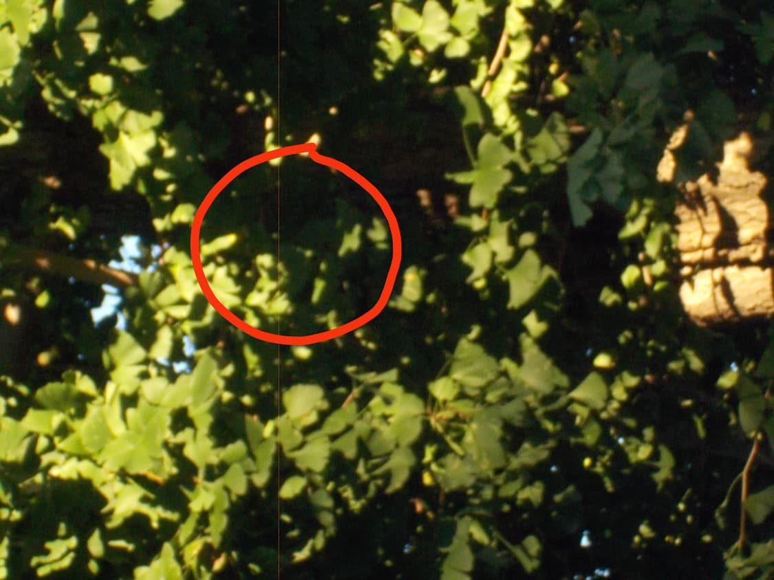 (한글판) 니콘 쿨픽스 S01 실버 디지털 카메라 판매합니다! 상품이미지3