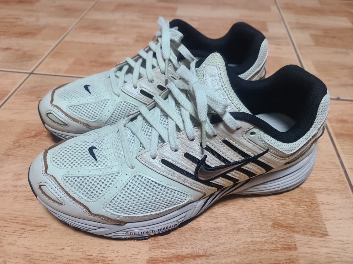 나이키 페가수스 2K5 씨글래스팬텀 W275(265추천) 상품이미지1