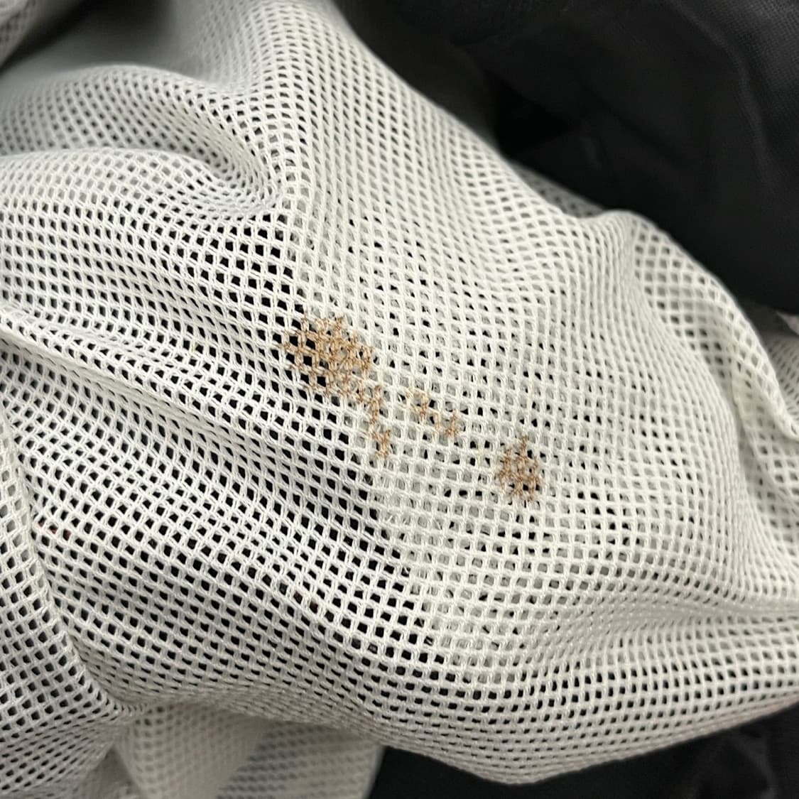 [정품/95] 롯데자이언츠 올드 춘추 바람막이 점퍼 b10 상품이미지5