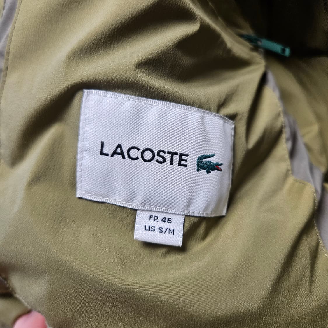 라코스테 구스다운 숏패딩 S 상품이미지5