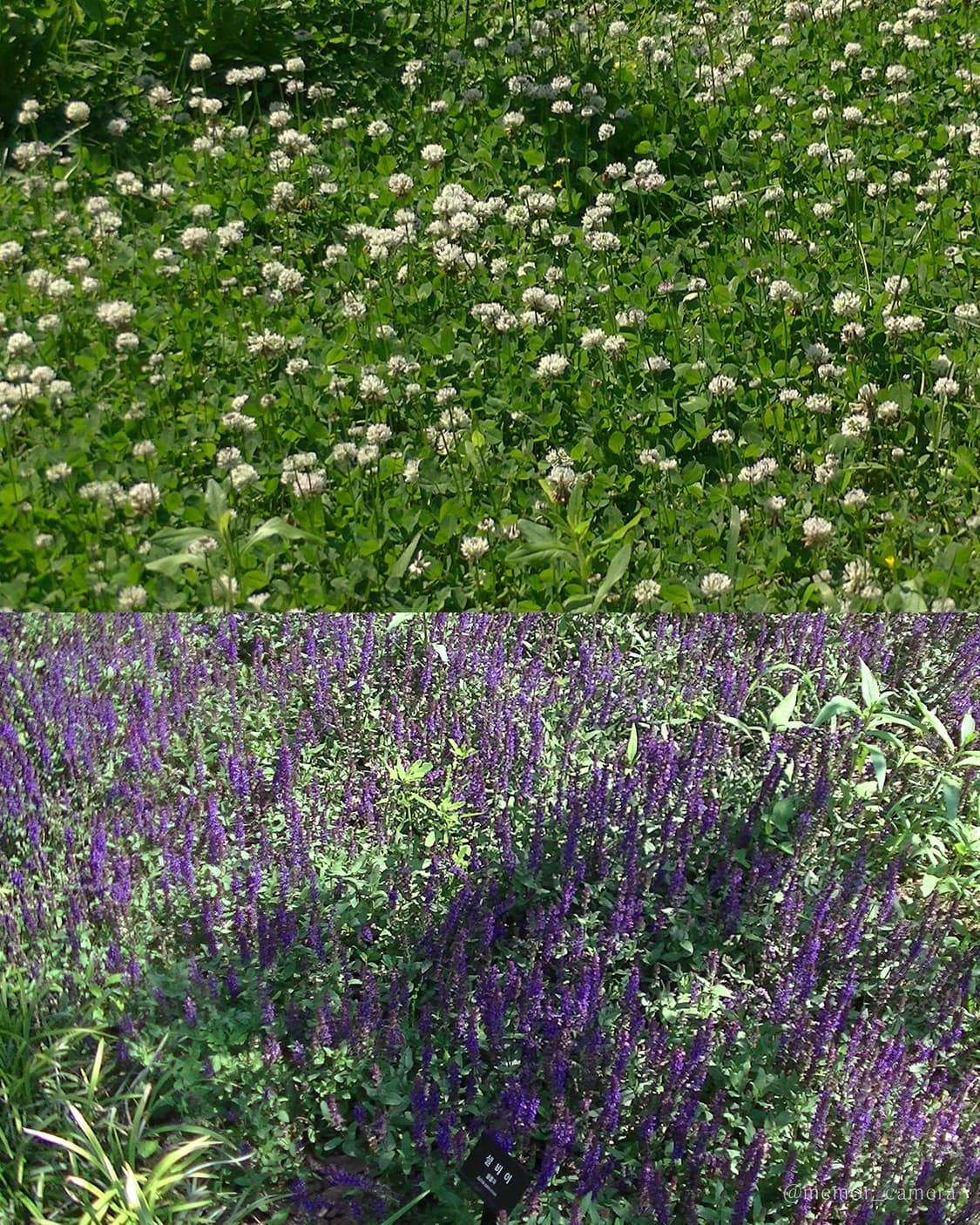 노란기X/애니메이션느낌작례💝JVC GZ-HM177 캠코더 디카 카메라 상품이미지8