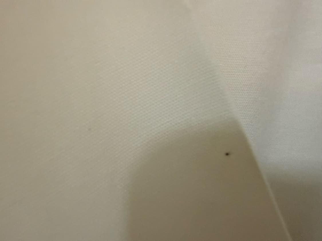 정품 비비안웨스트우드 블라우스 38 상품이미지6