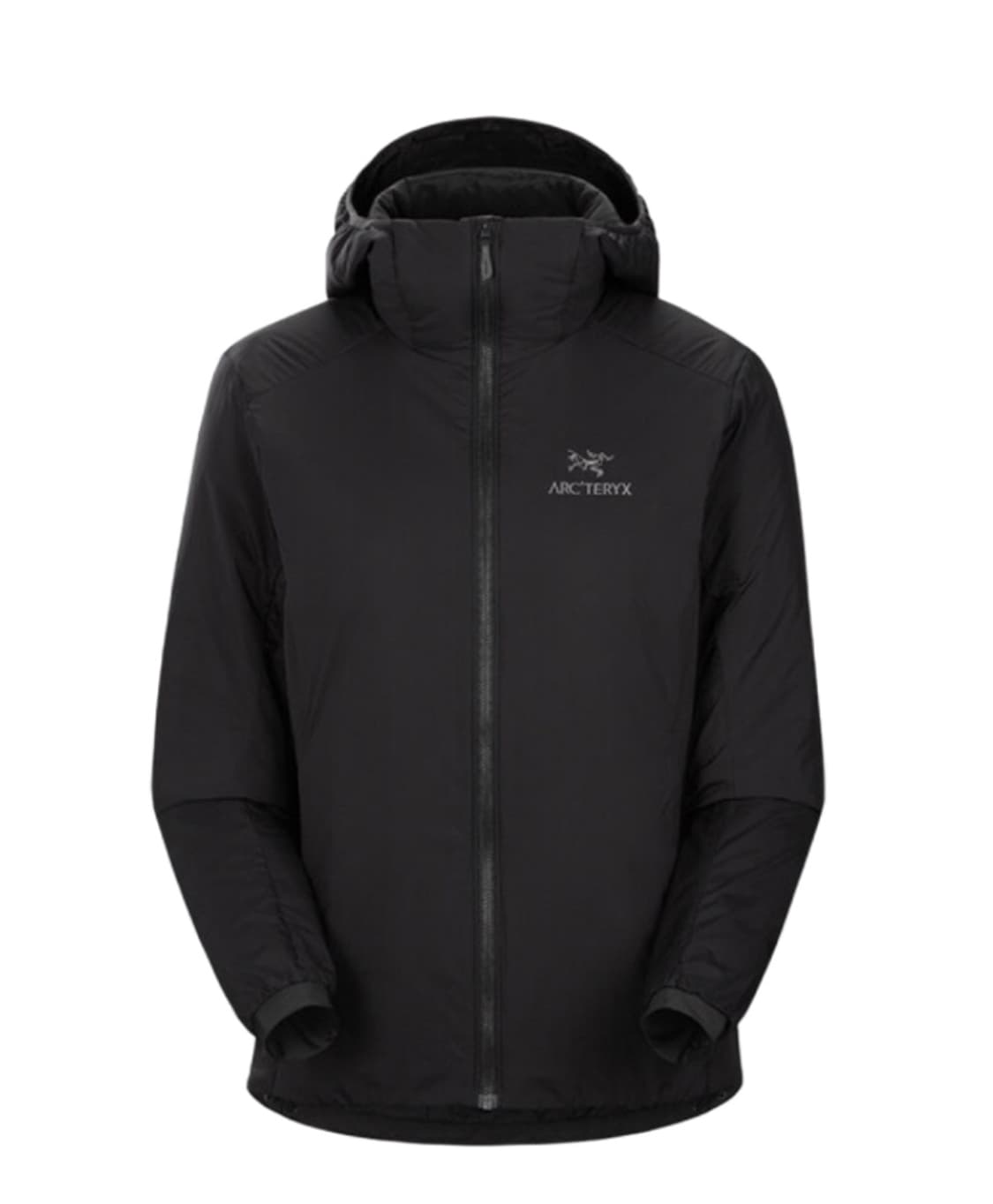 (W) 아크테릭스 아톰 후디 블랙 상품이미지1