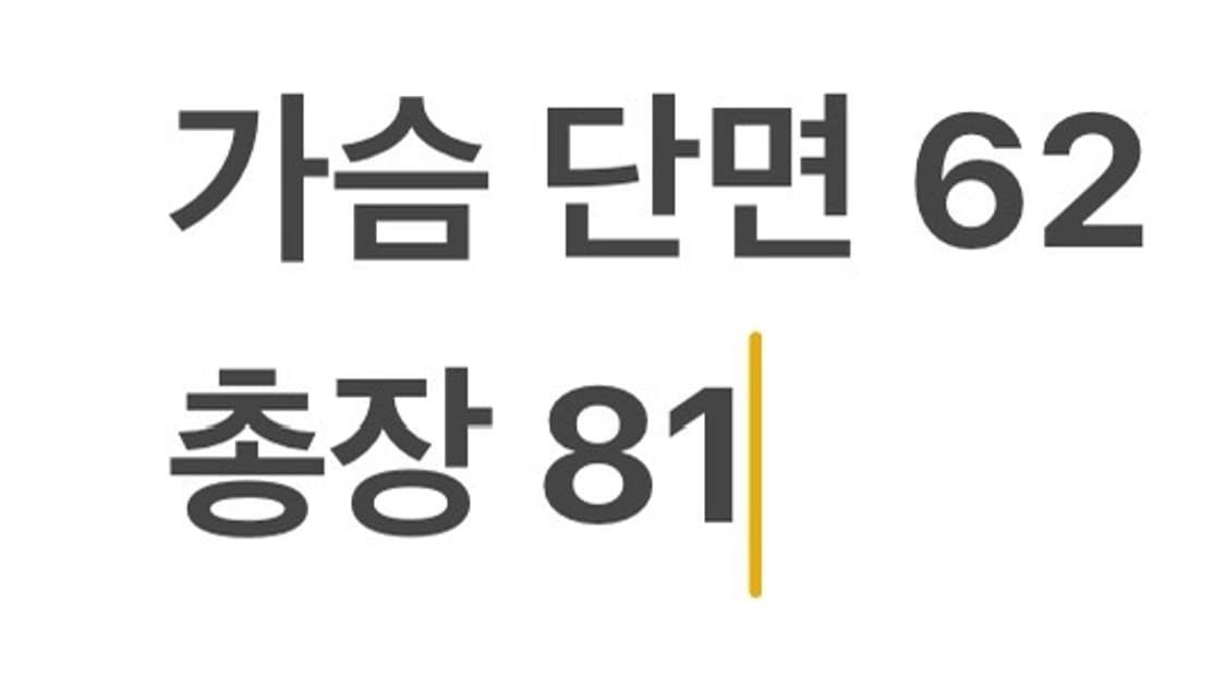 [ 정품/2 ] 본투윈 AUTHENTIC 레터링 반팔티 b14 상품이미지6