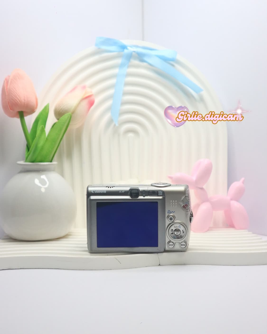 토모토모의픽!)) 캐논 익서스950is/익시 810is - 한국어 지원 상품이미지5