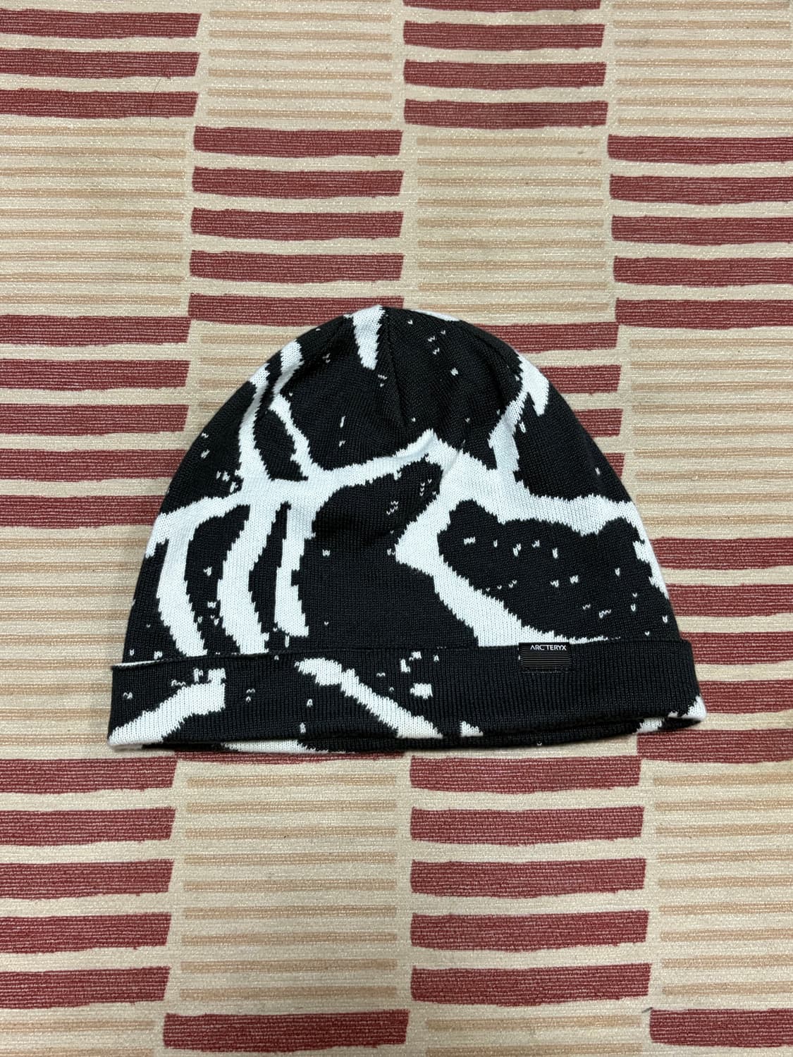 아크테릭스 비니 상품이미지1