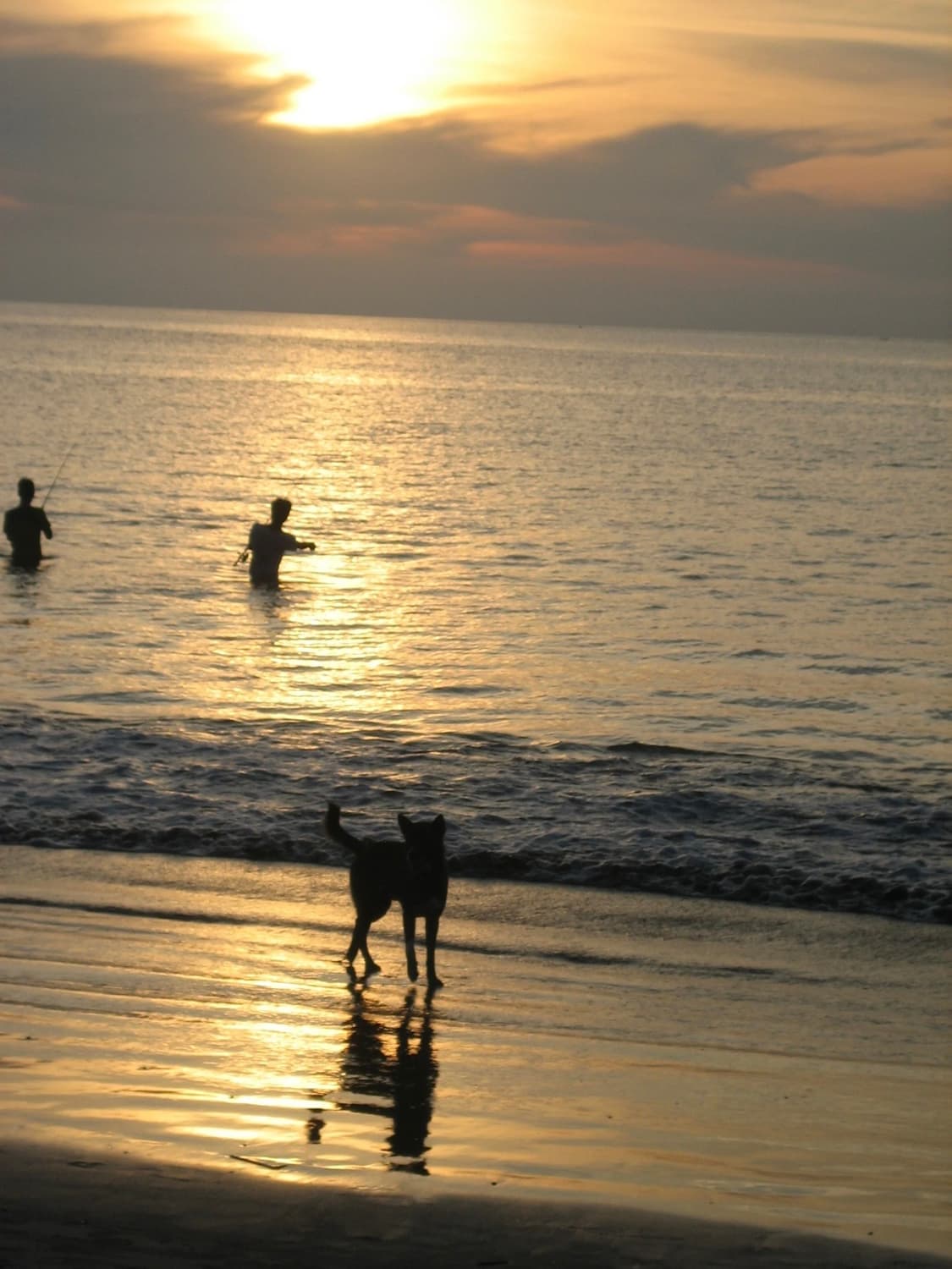 캐논 익서스 50 | 익시 IXY 55 | IXUS 50 상품이미지4