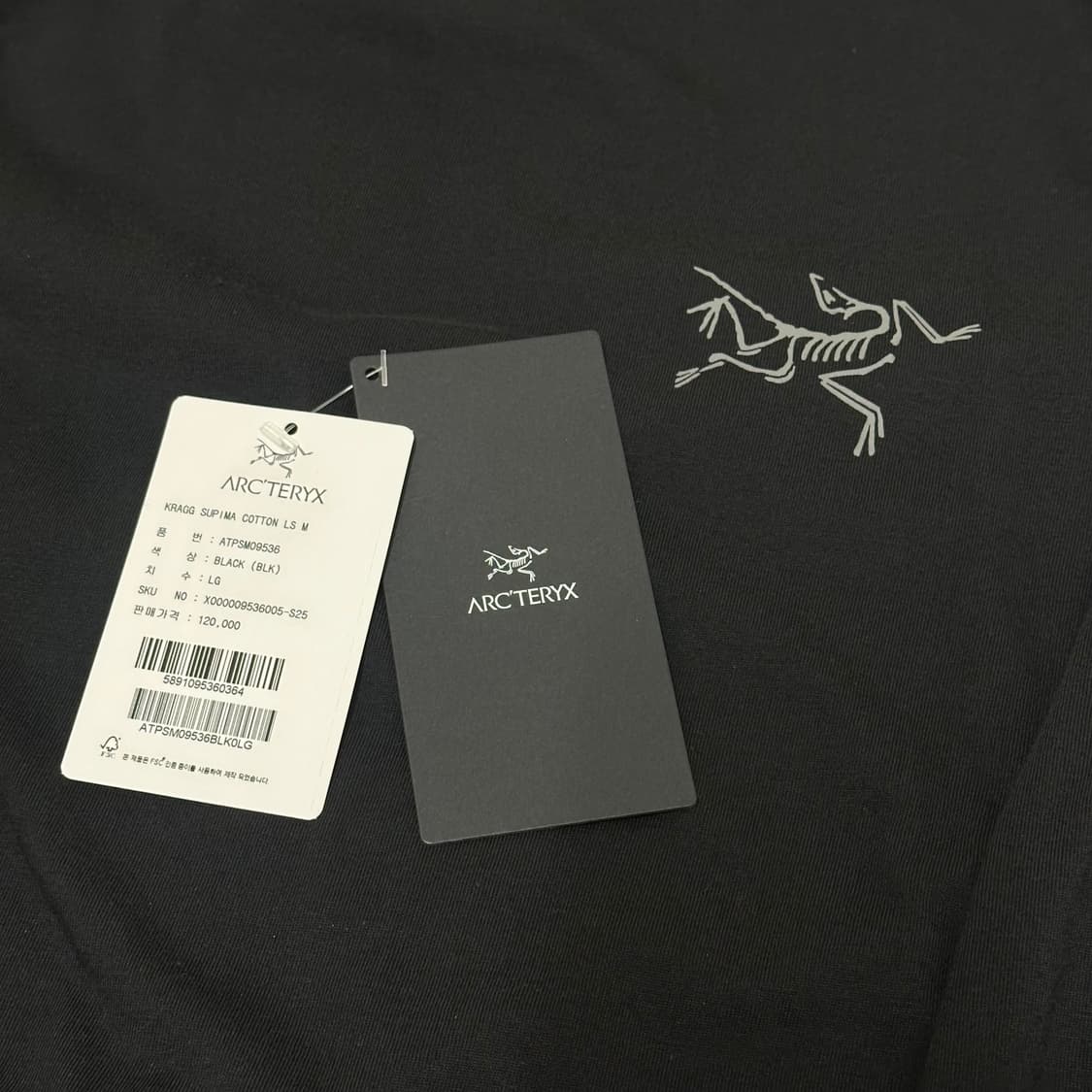 [L] 아크테릭스 크래그 SL 코튼 셔츠 LS 상품이미지5
