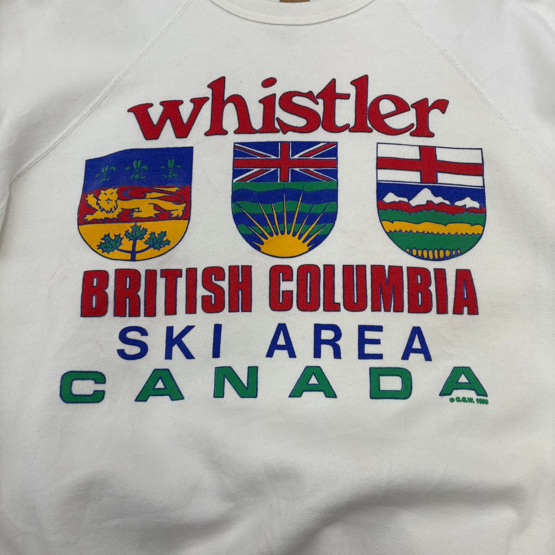 (100)90s 휘슬러스웻 상품이미지3