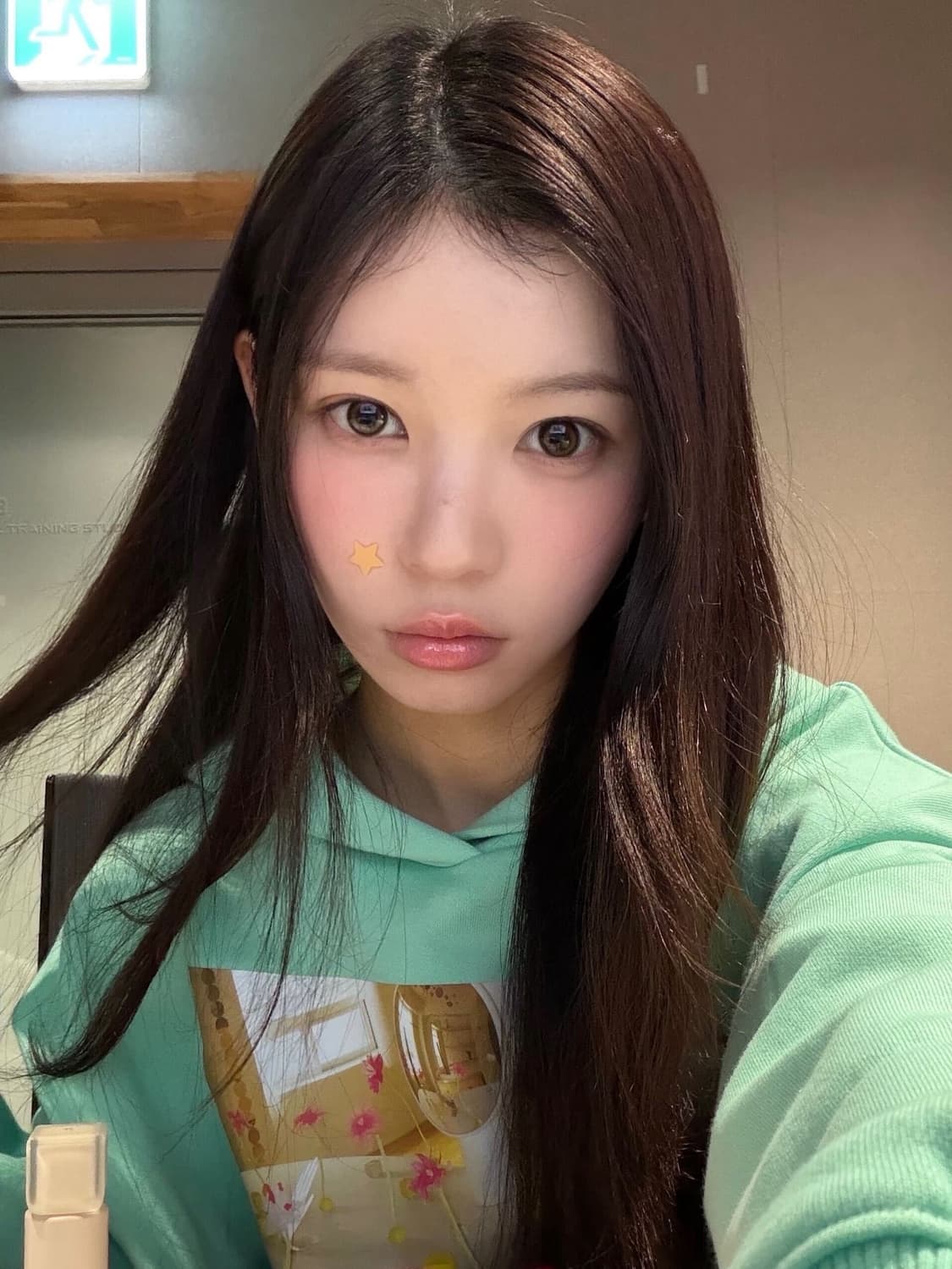 (아일릿 모카 착용) 나비버스 후드 민트 후디 naviverse 상품이미지1