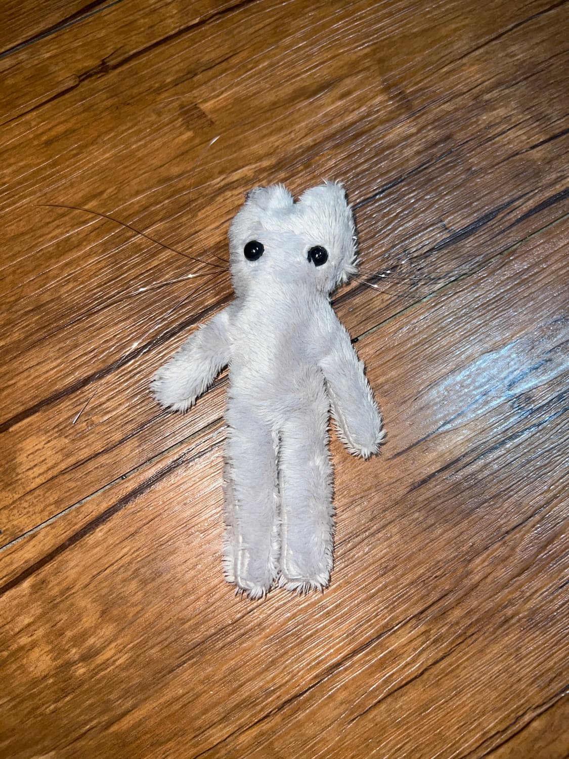 plain Jane stray cat (handmade) 상품이미지1