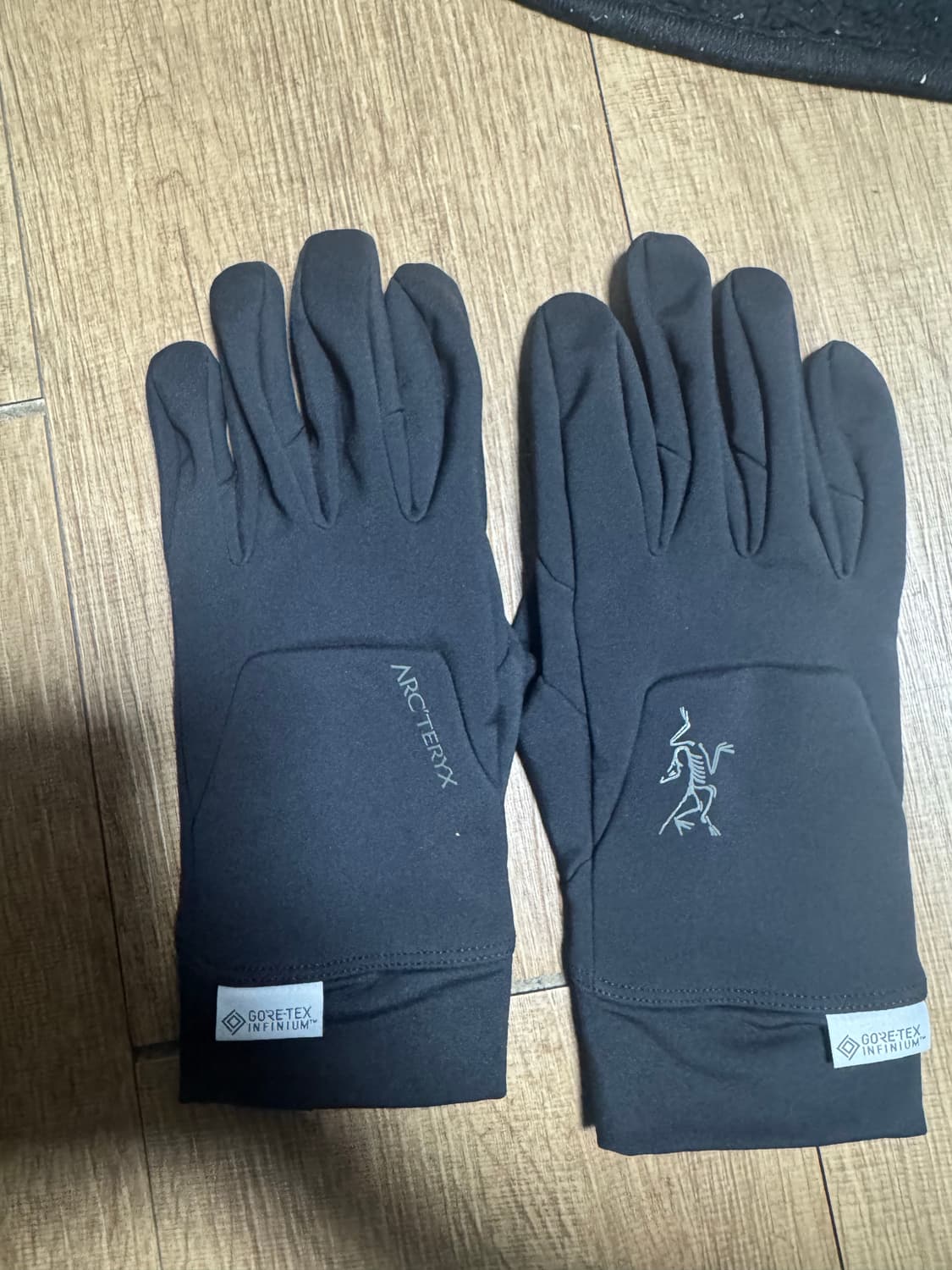 아크테릭스 벤타 글러브 LG 상품이미지1