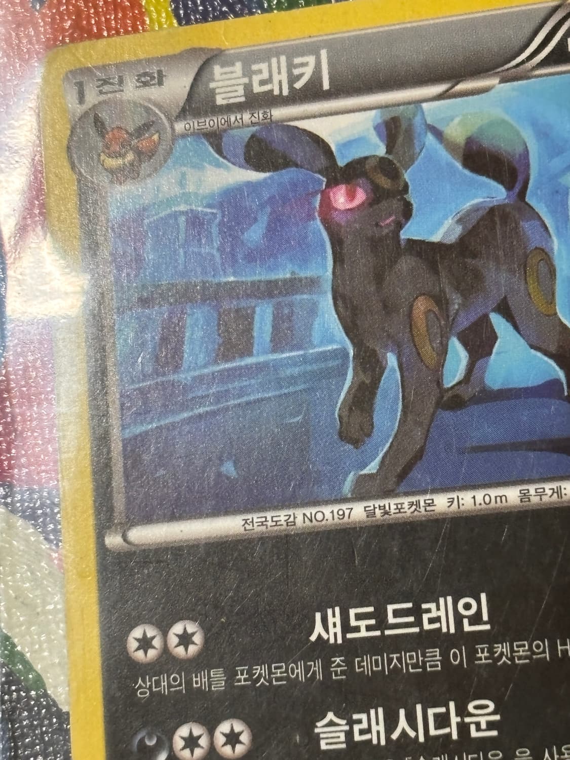 포켓몬스터 블래키bw4 포켓몬 카드 인테리어 소품 꾸미기용 포장용 상품이미지7