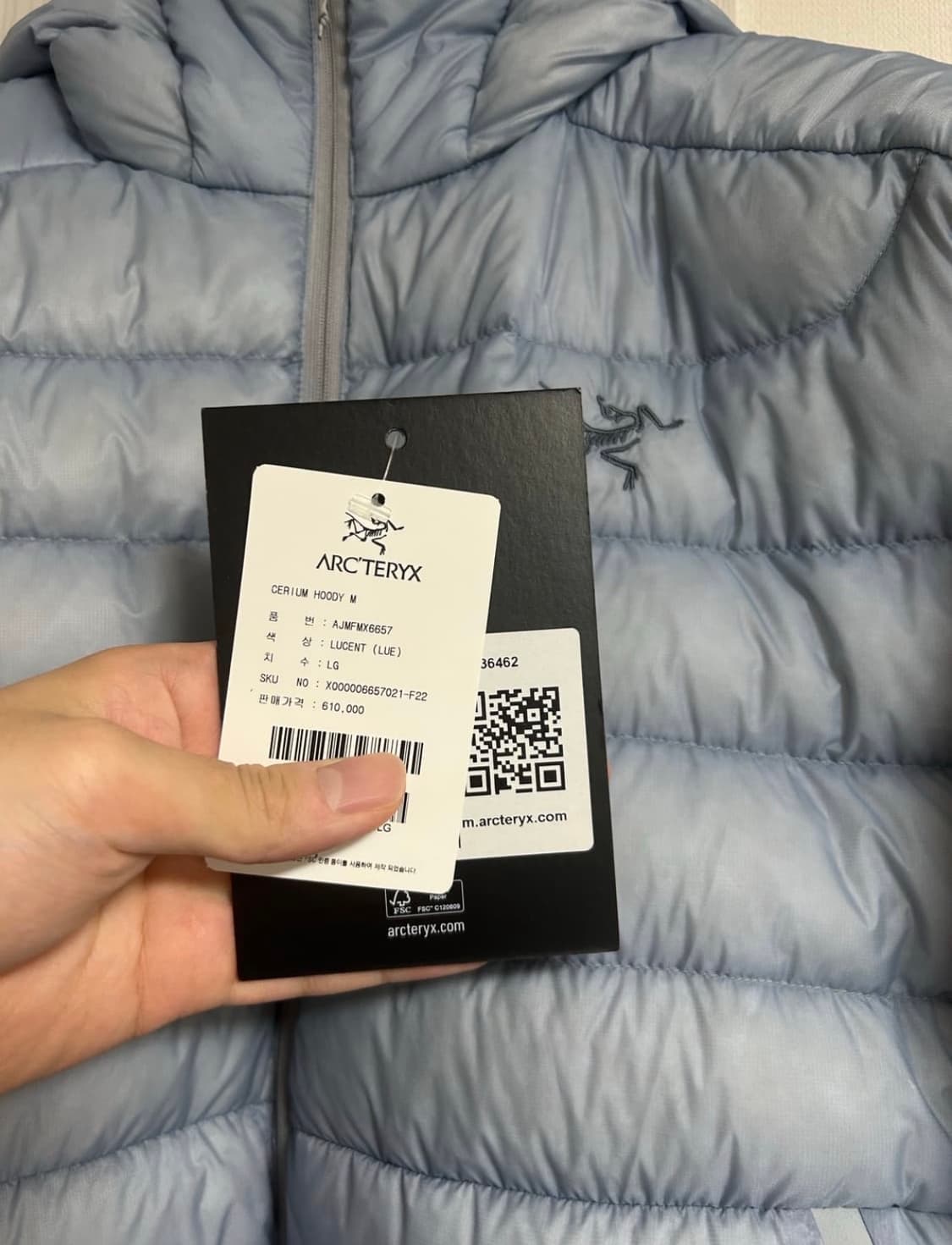 아크테릭스 세륨 후디 루센트 L 상품이미지1