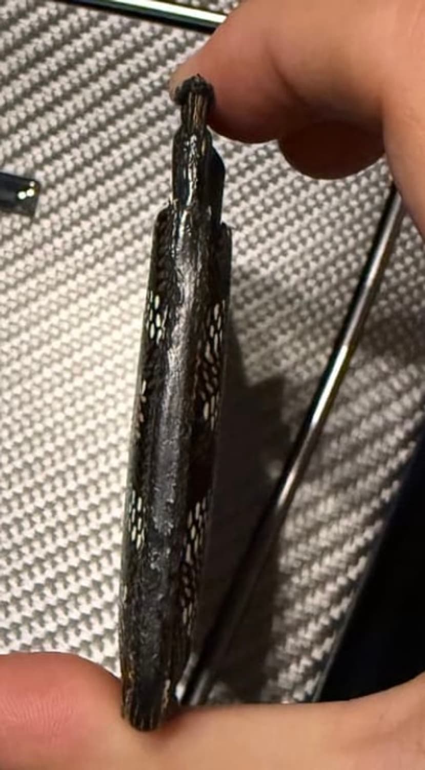 고야드 생쉴피스 카드지갑 블랙 상품이미지5