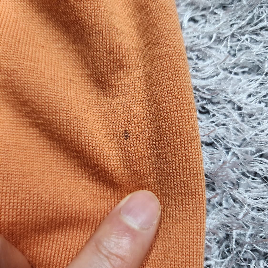 제냐 브이넥 니트티 50 상품이미지5