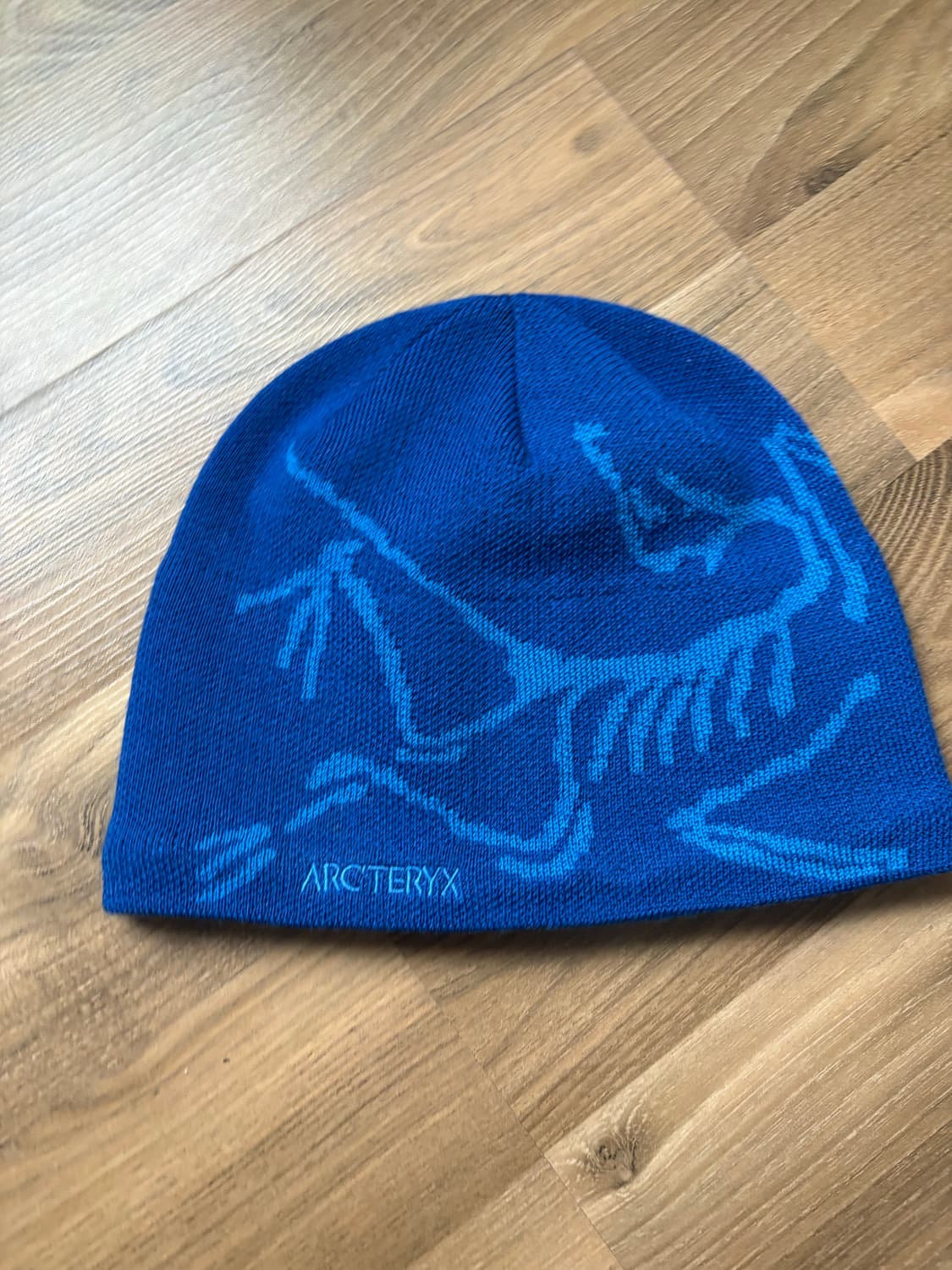 아크테릭스 버드 헤드 토크 비니 파랑 상품이미지1