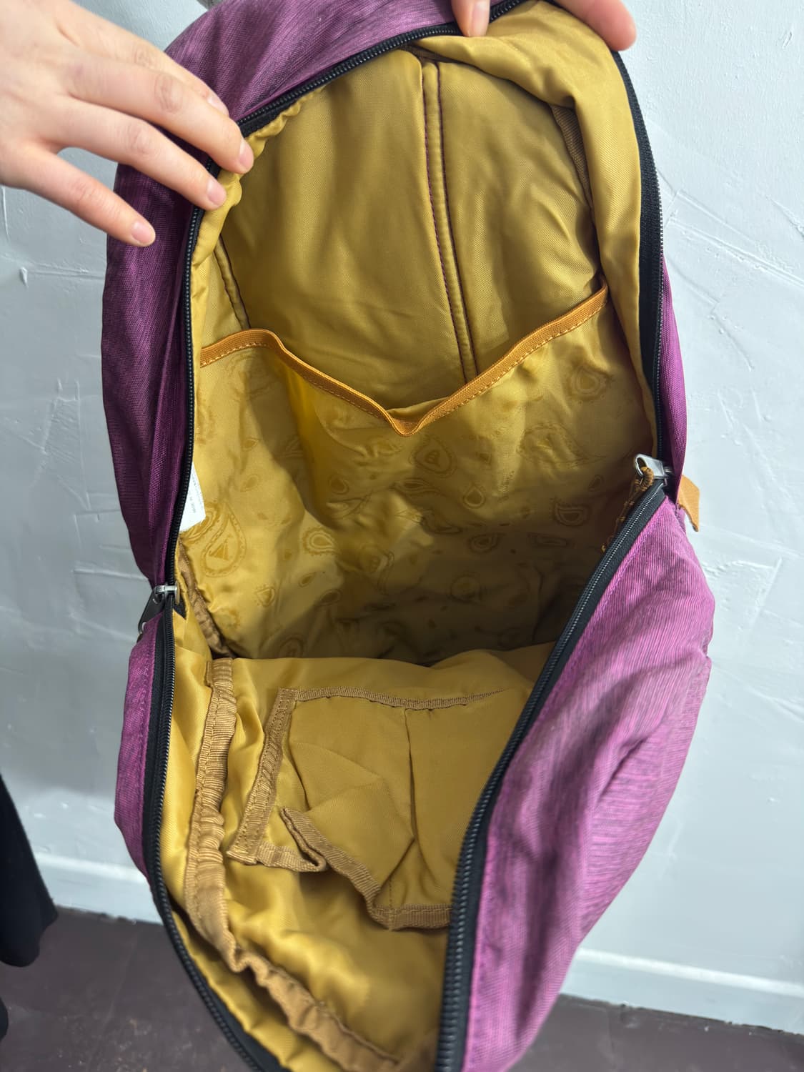 coleman backpack 상품이미지8