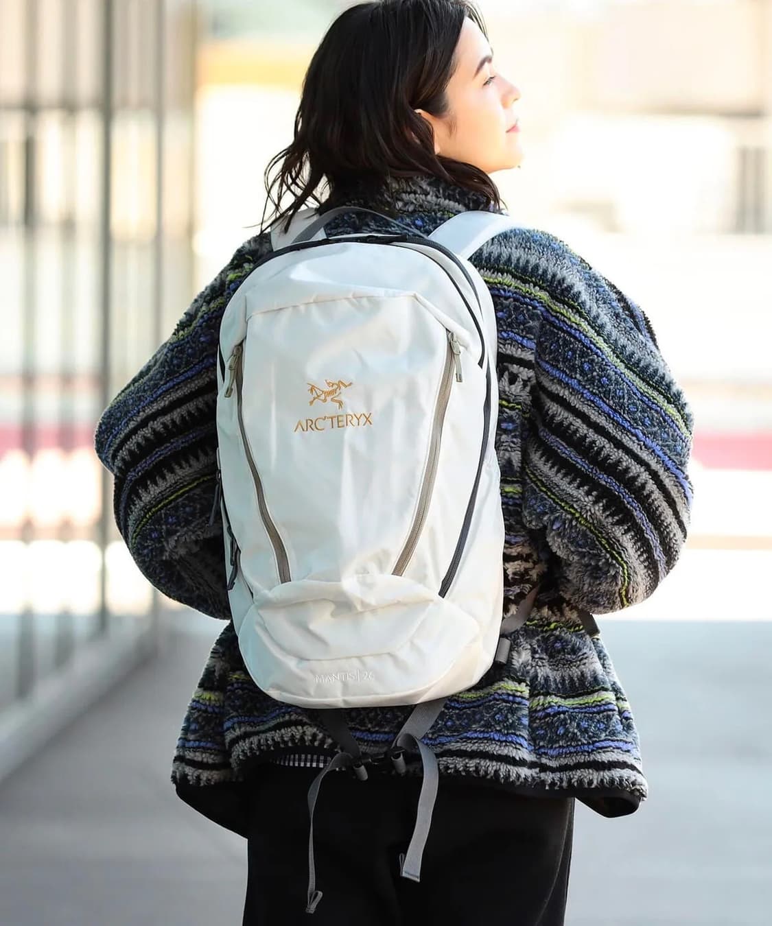 ARCTERYX X BEAMS Mantis 26 상품이미지1