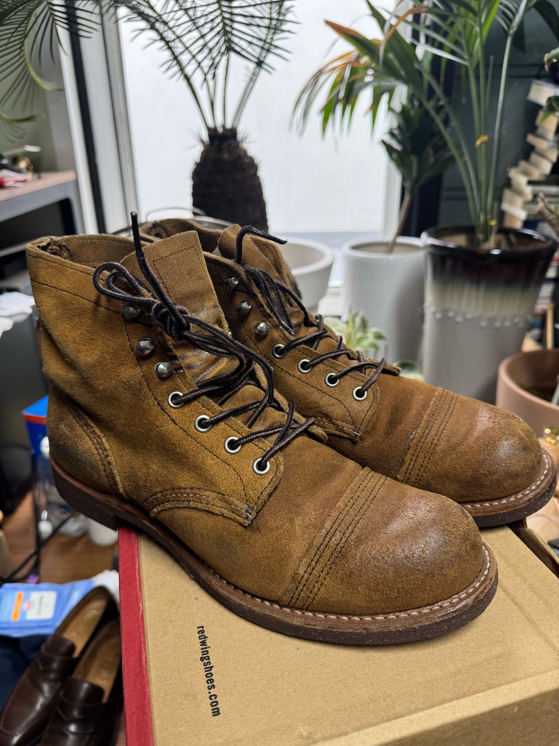 레드윙 아이언레인저 8113 호손뮬스키너 270  상품이미지1