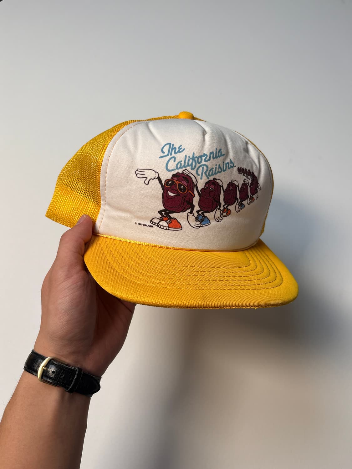 [free] The California Raisins 투톤 트러커 캡 상품이미지1