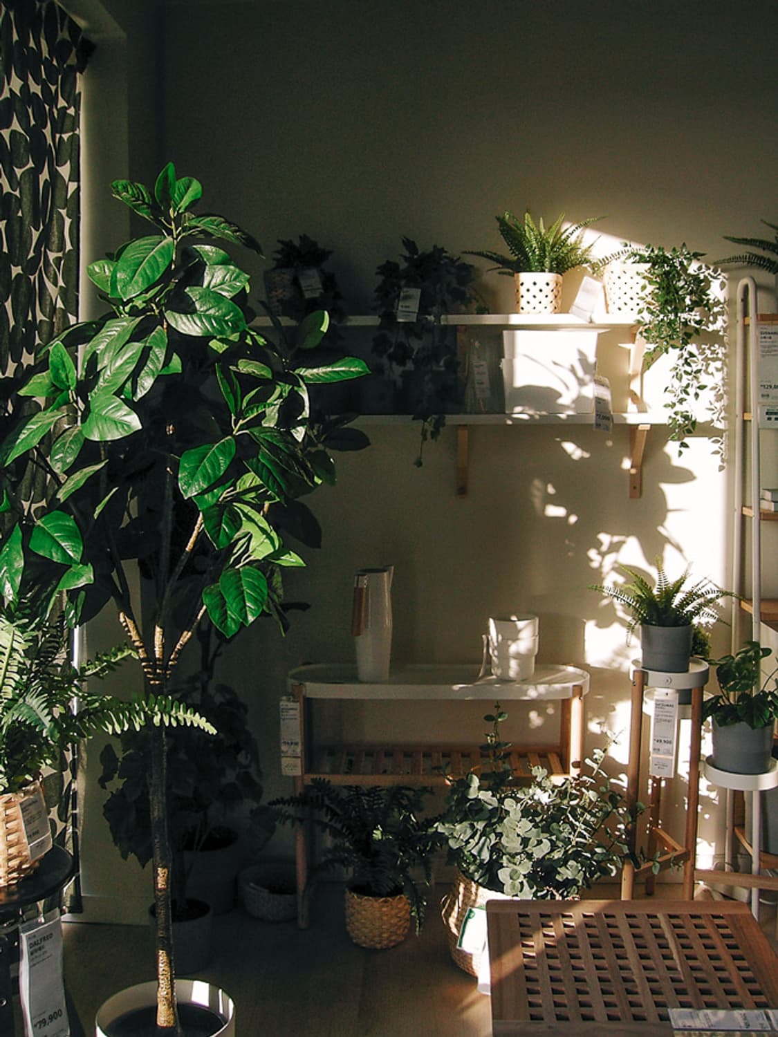 초 명품! 콘탁스 TVS D(t3 쌍둥이 디카) 상품이미지10