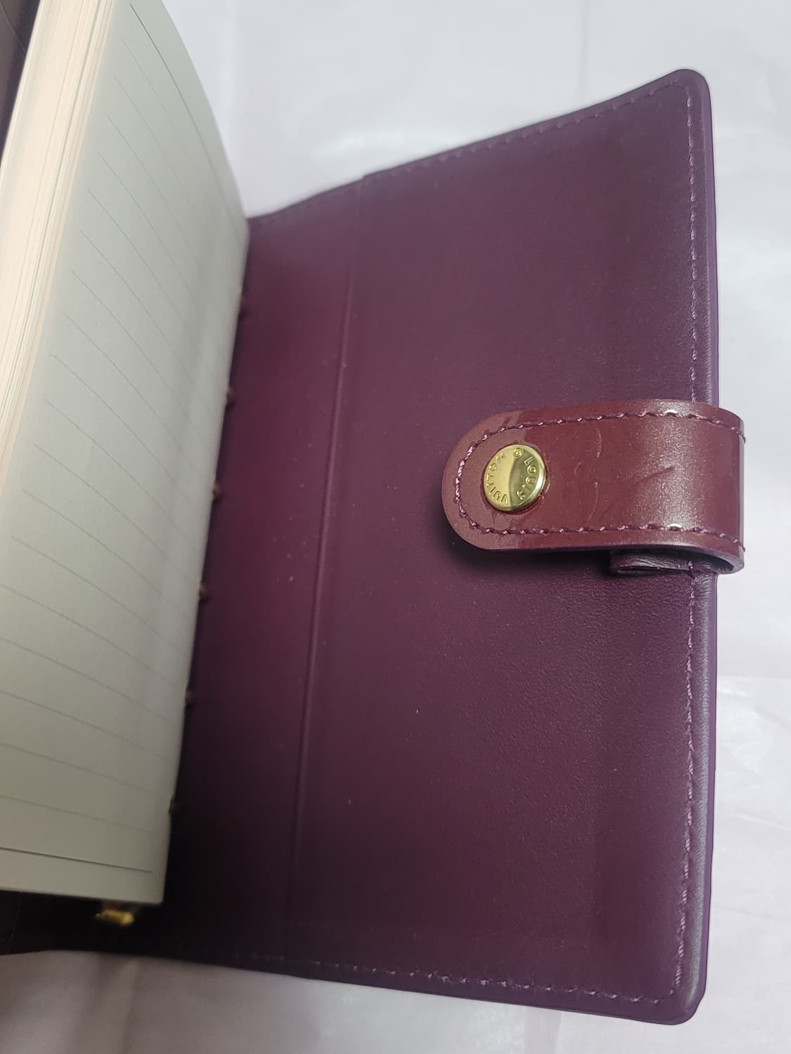 루이비통 베르니 다이어리 수첩 아젠다 애쉬포드 로로마 파일로팩스 a6 상품이미지3