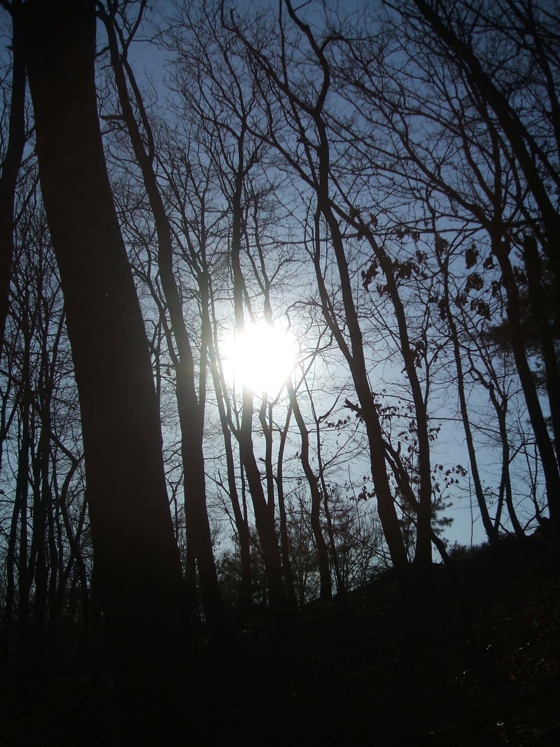 후지필름 파인픽스 A400 상품이미지9