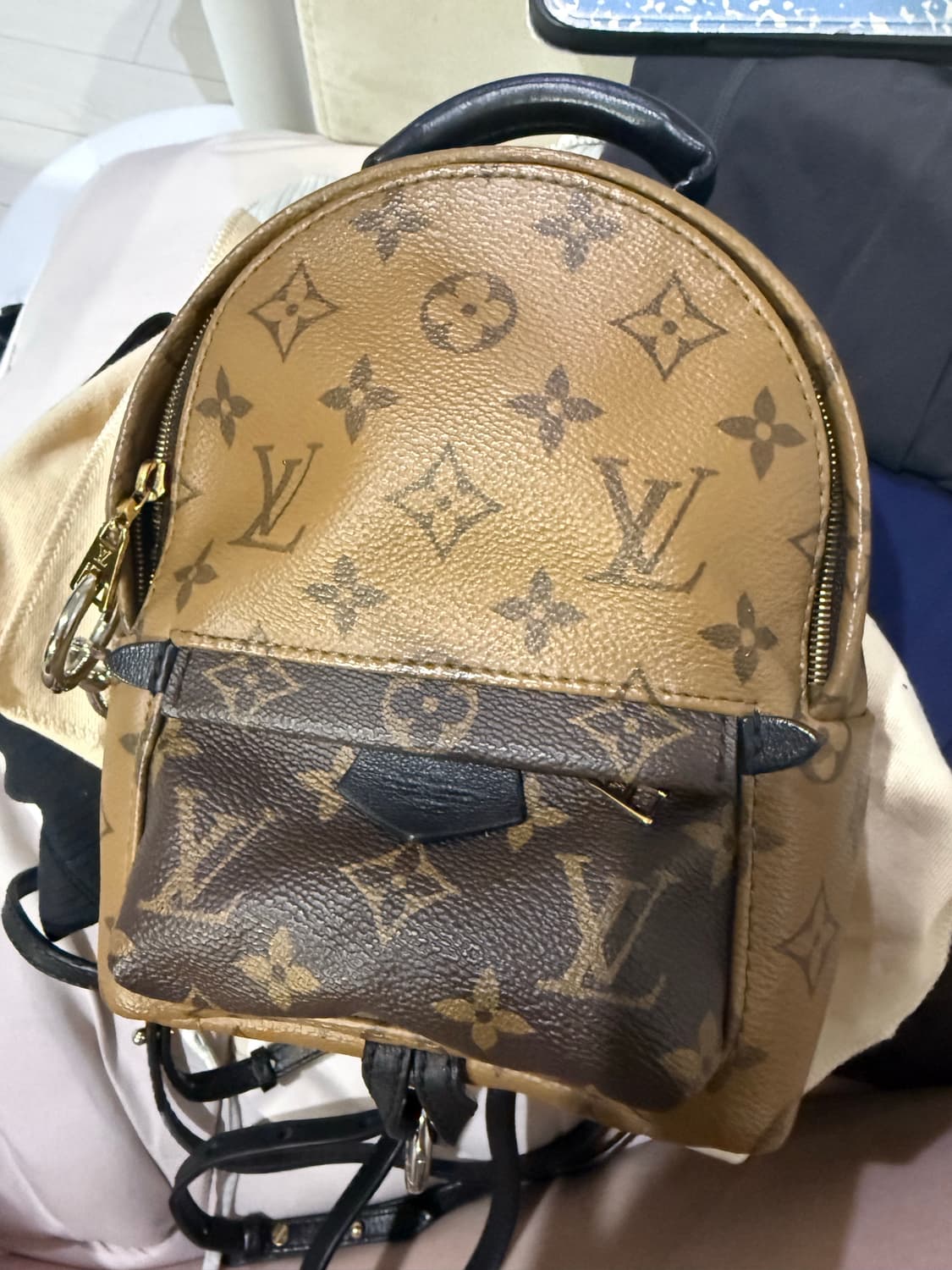 루이비통 팜스프링스 백팩 미니 상품이미지2