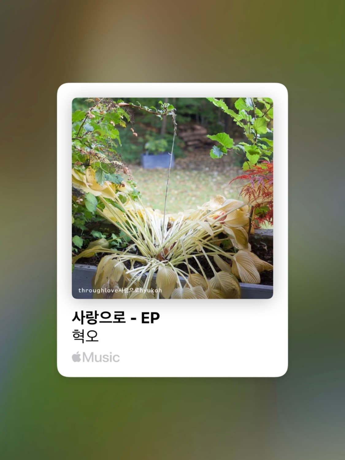 Bracelet - Help 🤞 상품이미지2