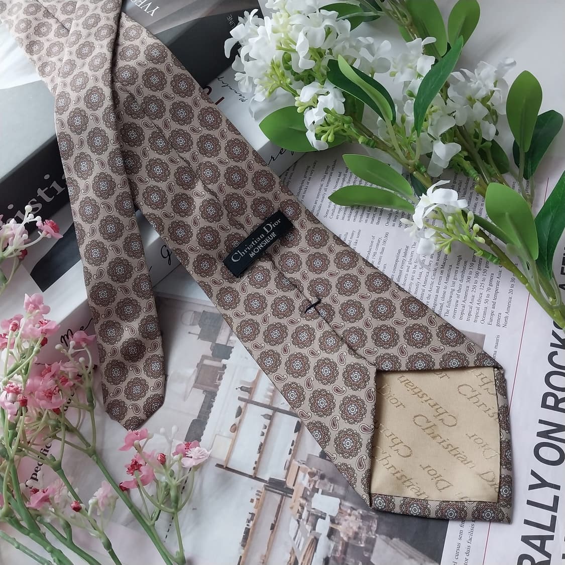 디올 실크 브라운 페이즐리 패턴 넥타이 9.1cm A+등급 K1796
 상품이미지5