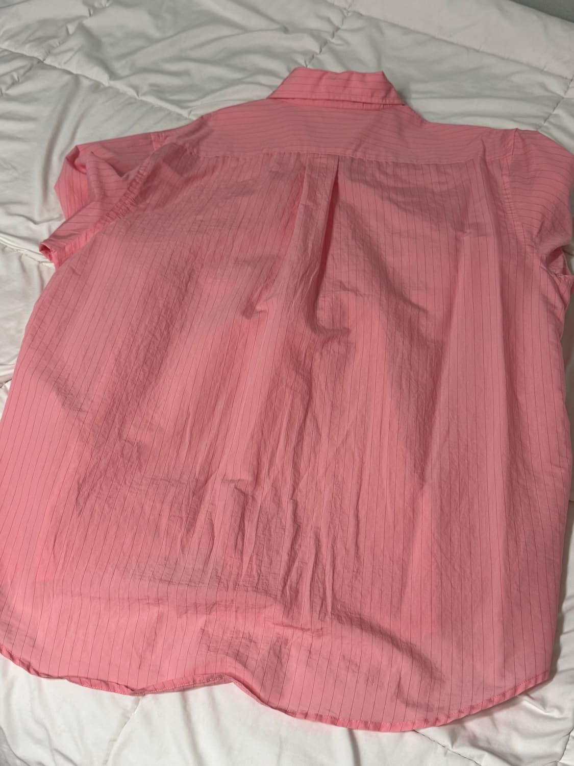 SUNFLOWER 버튼다운 셔츠 [XL] 상품이미지2