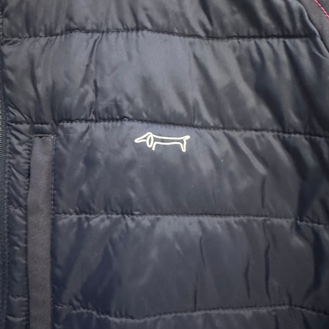 루이까스텔 골프웨어 경량패딩 상품이미지4