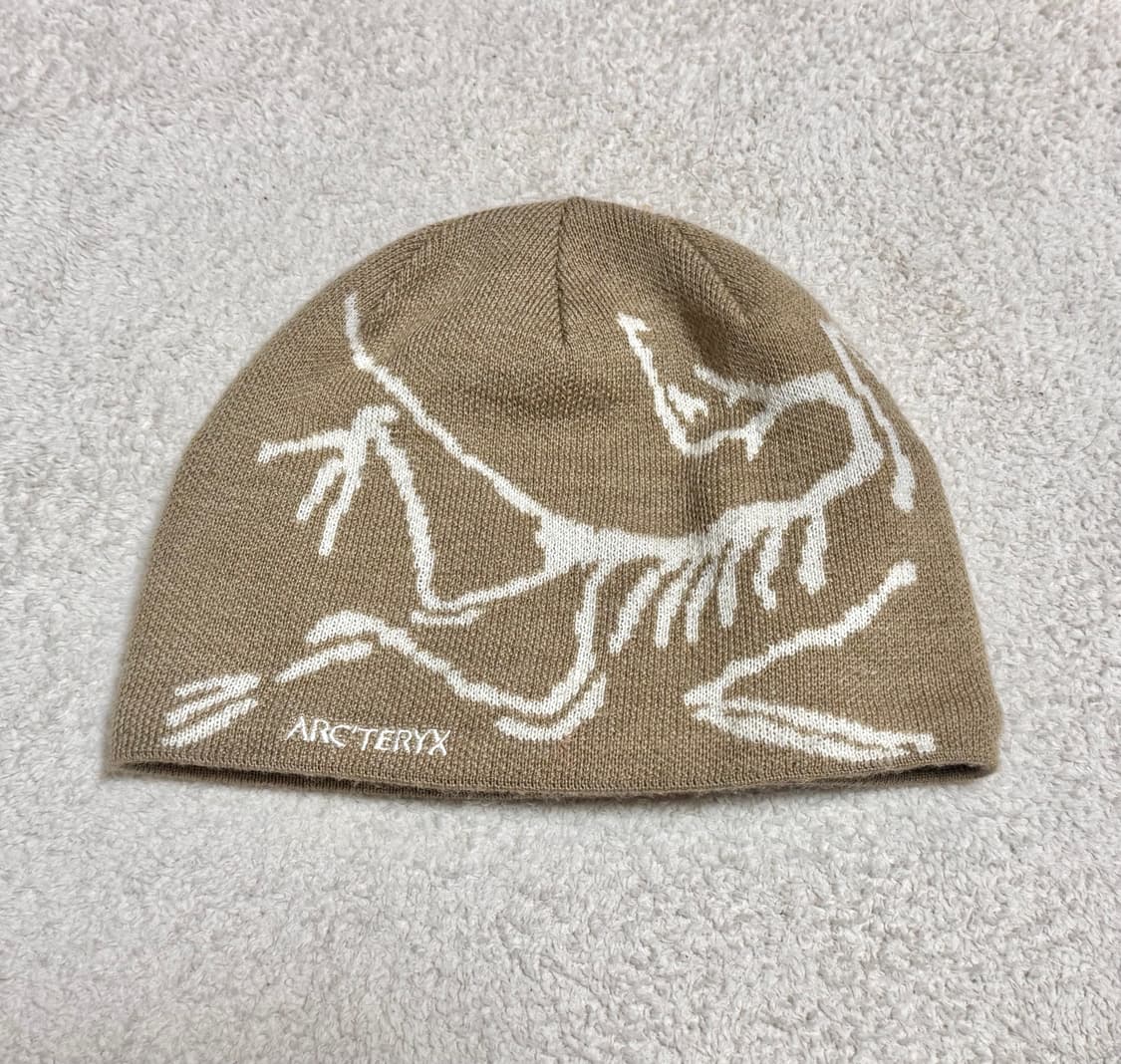 아크테릭스 비니 상품이미지1