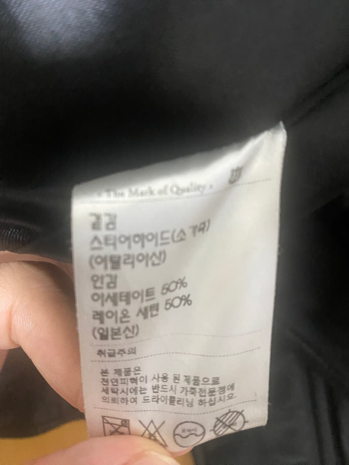 디아프바인 타란튤라 L사이즈 상품이미지5