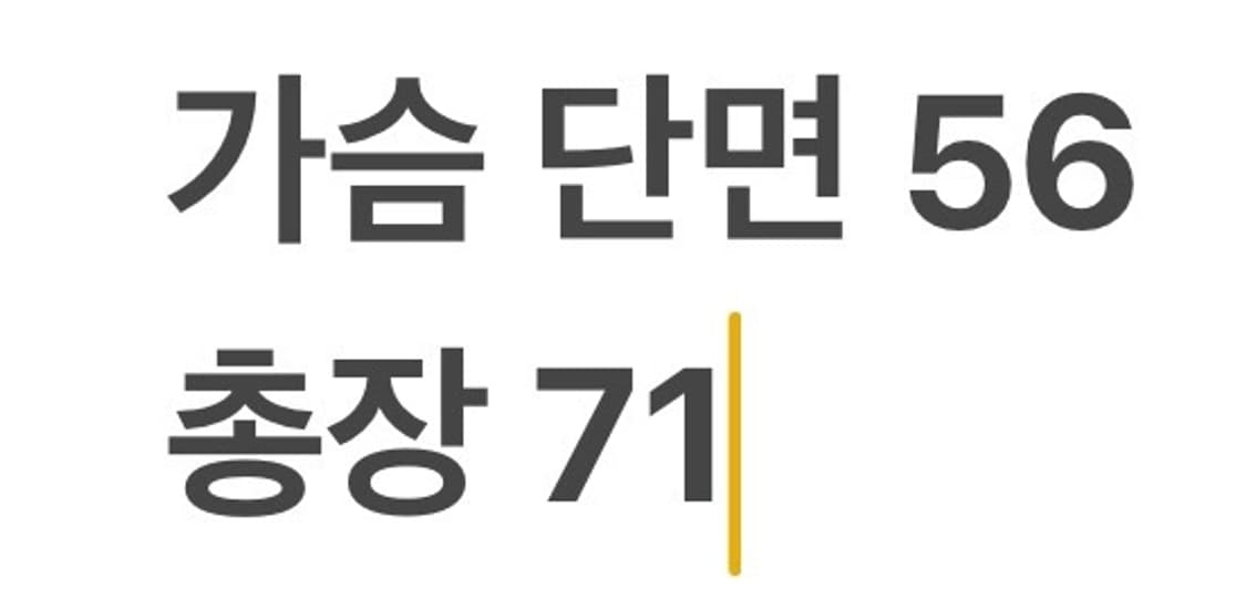 [정품/M] 나이키 ACG 바람막이 자켓 형광 레드 브라운 b16 상품이미지9