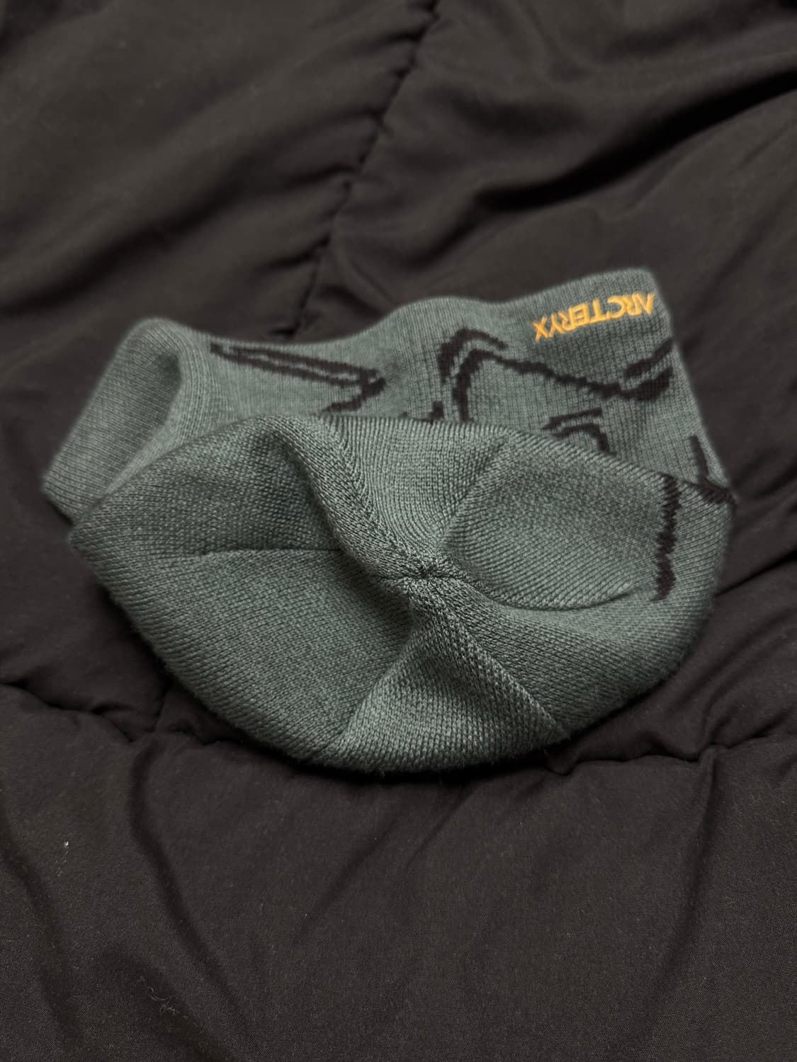 아크테릭스 버드 헤드 토크 다크 매직 상품이미지4