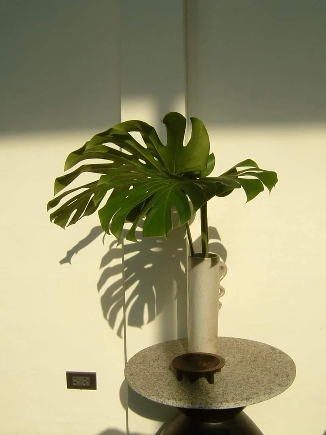 후지필름 파인픽스 A800 실버 ✨ 가볍게 들고다니기 좋은 입문용 디카 상품이미지6