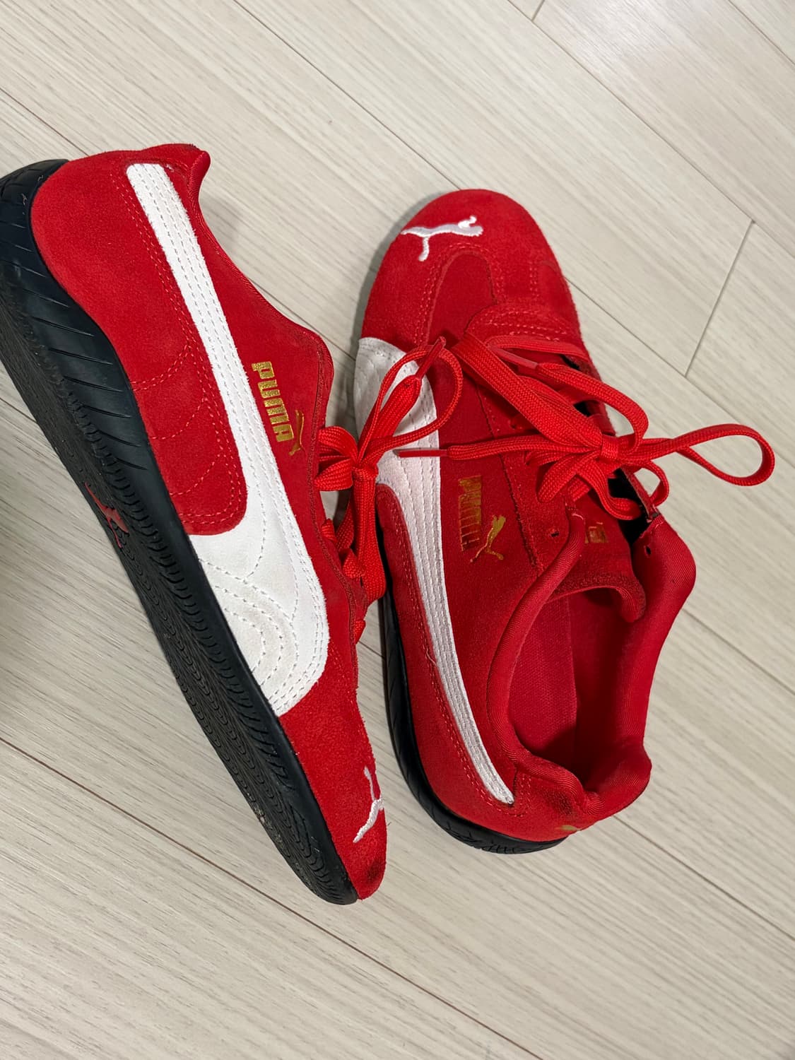 스피드캣 (240) 상품이미지3