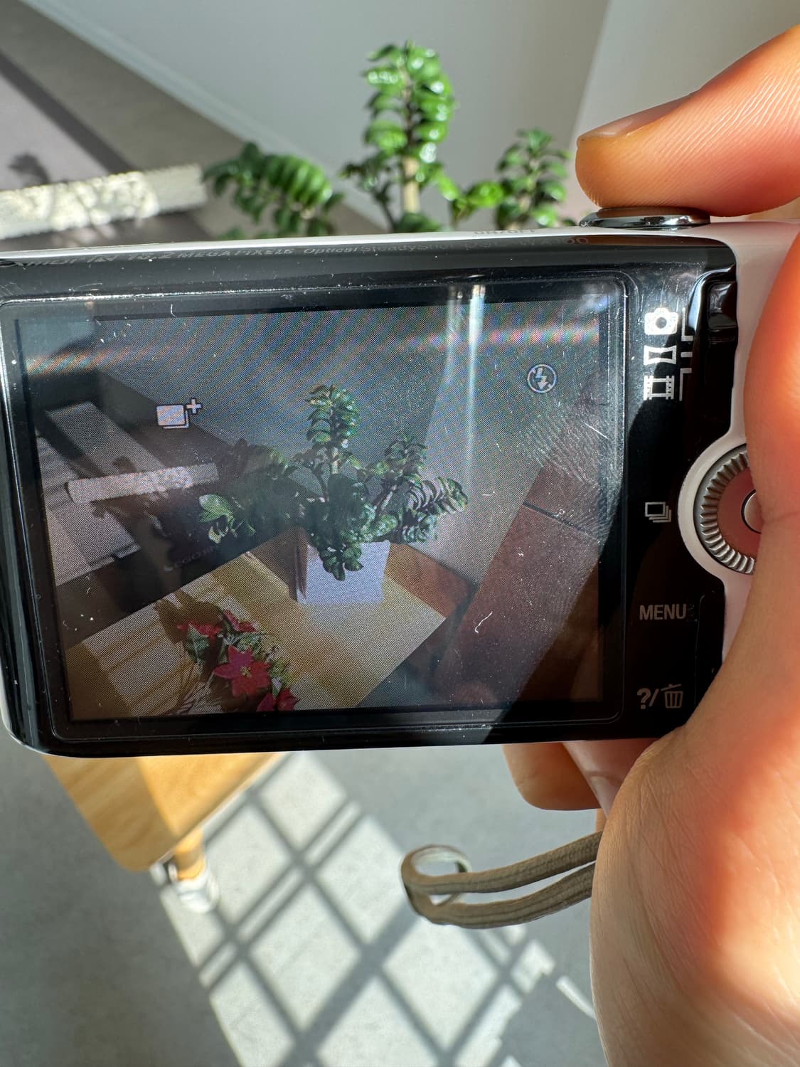 소니 사이버샷 DSC-WX100 상품이미지5